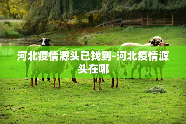 河北疫情源头已找到-河北疫情源头在哪