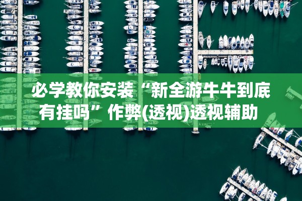 必学教你安装“新全游牛牛到底有挂吗	”作弊(透视)透视辅助 