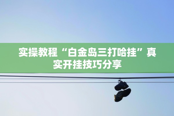 实操教程“白金岛三打哈挂	”真实开挂技巧分享