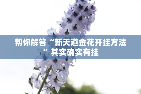 帮你解答“新天道金花开挂方法”其实确实有挂