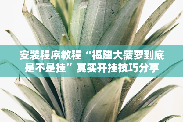 安装程序教程“福建大菠萝到底是不是挂	”真实开挂技巧分享