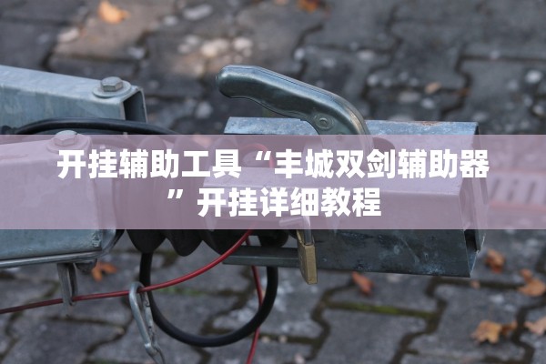 开挂辅助工具“丰城双剑辅助器”开挂详细教程