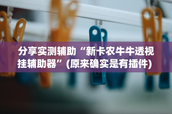 分享实测辅助“新卡农牛牛透视挂辅助器	”(原来确实是有插件) 