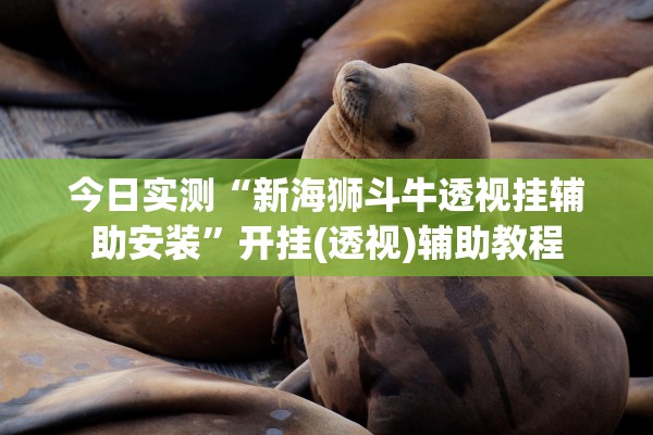 今日实测“新海狮斗牛透视挂辅助安装”开挂(透视)辅助教程