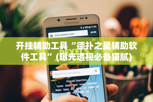 开挂辅助工具“德扑之星辅助软件工具”(曝光透视必备猫腻)