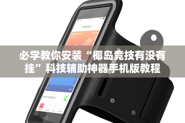 必学教你安装“椰岛竞技有没有挂”科技辅助神器手机版教程