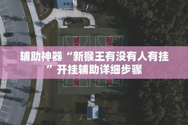 辅助神器“新猴王有没有人有挂”开挂辅助详细步骤