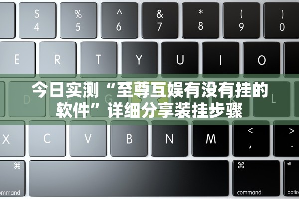 今日实测“至尊互娱有没有挂的软件”详细分享装挂步骤
