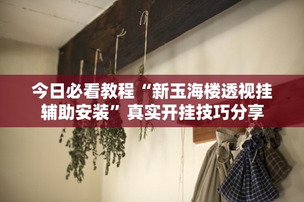 今日必看教程“新玉海楼透视挂辅助安装”真实开挂技巧分享