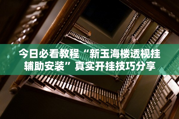 今日必看教程“新玉海楼透视挂辅助安装”真实开挂技巧分享