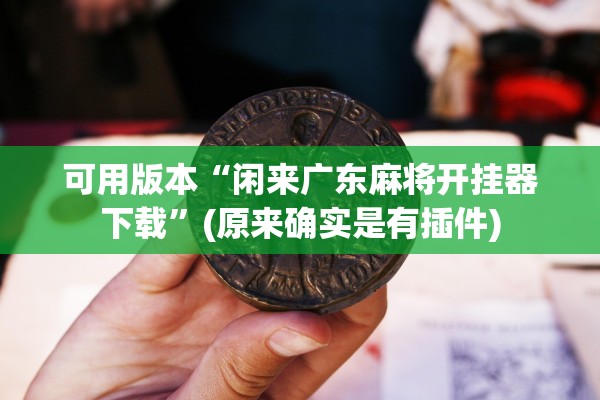 可用版本“闲来广东麻将开挂器下载	”(原来确实是有插件)