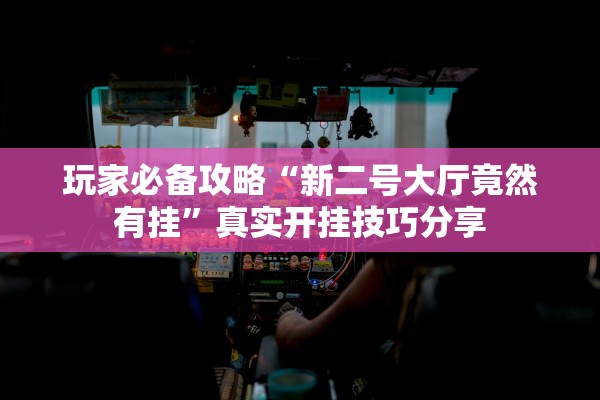 玩家必备攻略“新二号大厅竟然有挂”真实开挂技巧分享