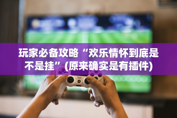 玩家必备攻略“欢乐情怀到底是不是挂”(原来确实是有插件)