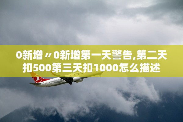 0新增〃0新增第一天警告,第二天扣500第三天扣1000怎么描述