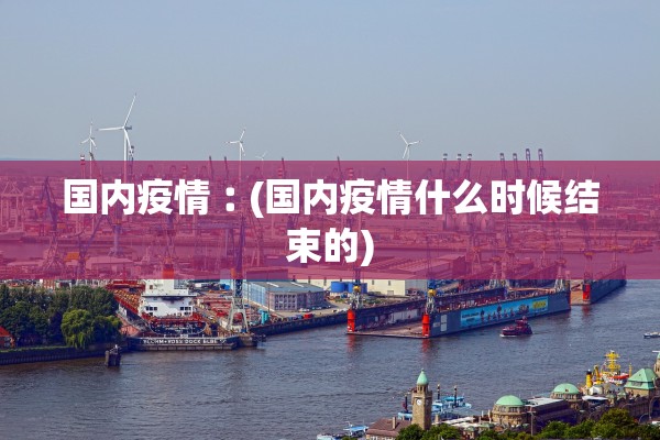 国内疫情︰(国内疫情什么时候结束的)