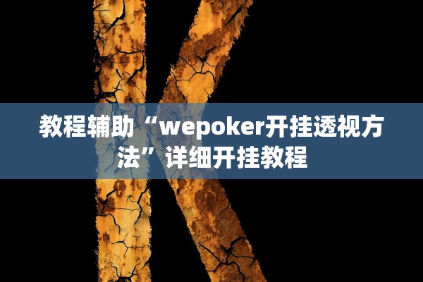 教程辅助“wepoker开挂透视方法”详细开挂教程