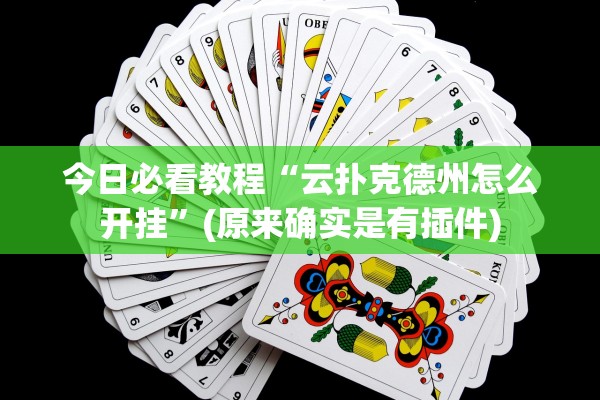 今日必看教程“云扑克德州怎么开挂	”(原来确实是有插件)
