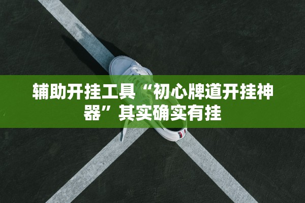 辅助开挂工具“初心牌道开挂神器”其实确实有挂