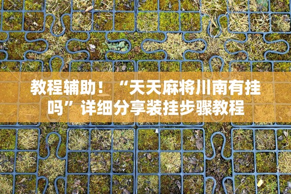 教程辅助！“天天麻将川南有挂吗”详细分享装挂步骤教程