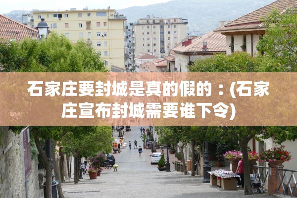 石家庄要封城是真的假的︰(石家庄宣布封城需要谁下令)