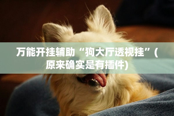 万能开挂辅助“狗大厅透视挂	”(原来确实是有插件)