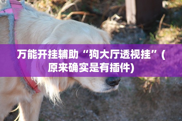 万能开挂辅助“狗大厅透视挂”(原来确实是有插件)