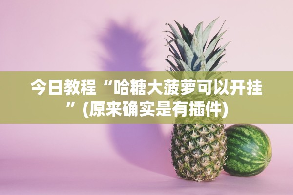 今日教程“哈糖大菠萝可以开挂”(原来确实是有插件)