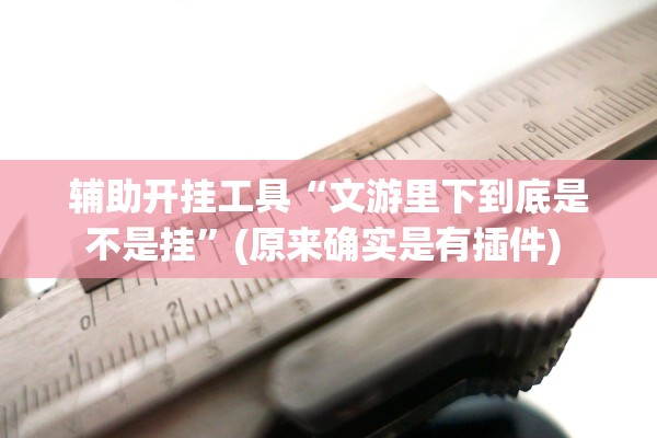 辅助开挂工具“文游里下到底是不是挂”(原来确实是有插件) 