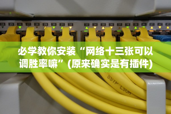 必学教你安装“网络十三张可以调胜率嘛	”(原来确实是有插件)
