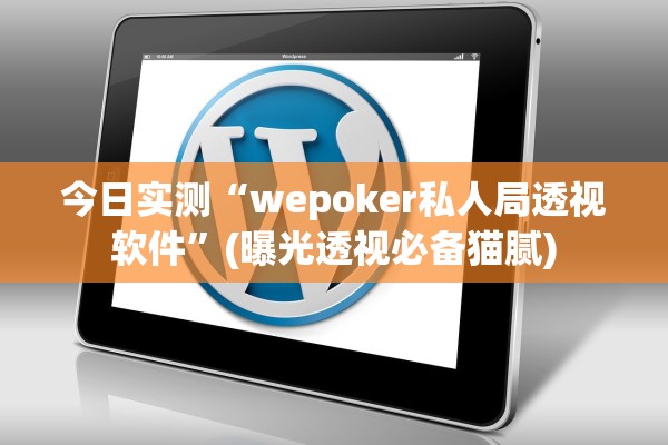 今日实测“wepoker私人局透视软件”(曝光透视必备猫腻)
