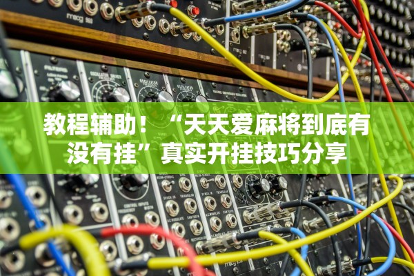 教程辅助！“天天爱麻将到底有没有挂	”真实开挂技巧分享