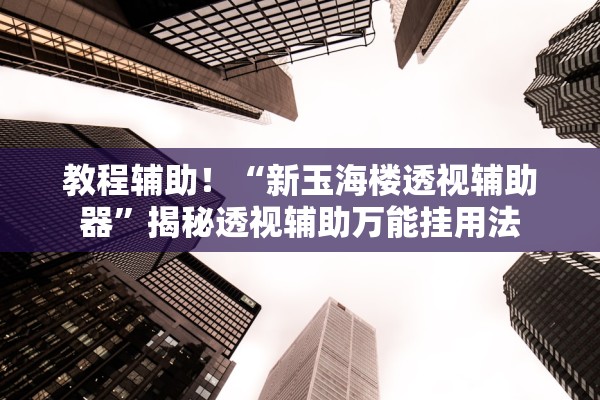 教程辅助！“新玉海楼透视辅助器”揭秘透视辅助万能挂用法