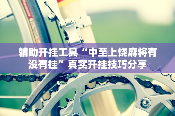 辅助开挂工具“中至上饶麻将有没有挂”真实开挂技巧分享