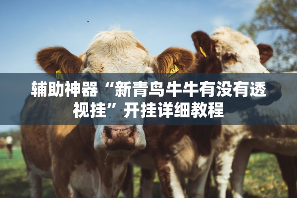 辅助神器“新青鸟牛牛有没有透视挂”开挂详细教程