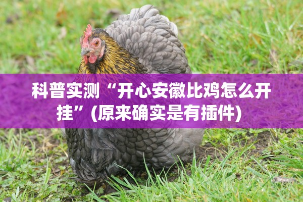 科普实测“开心安徽比鸡怎么开挂	”(原来确实是有插件) 