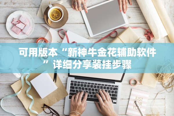 可用版本“新神牛金花辅助软件	”详细分享装挂步骤