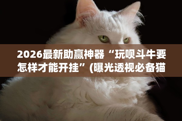 2026最新助赢神器“玩呗斗牛要怎样才能开挂	”(曝光透视必备猫腻)
