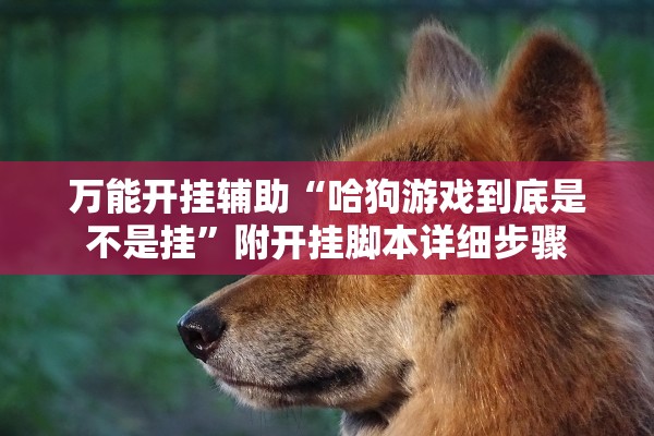 万能开挂辅助“哈狗游戏到底是不是挂”附开挂脚本详细步骤