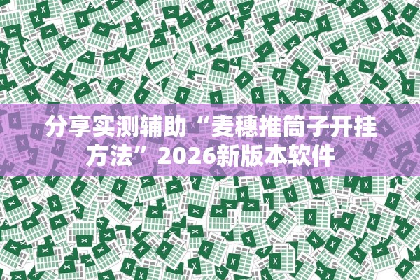 分享实测辅助“麦穗推筒子开挂方法”2026新版本软件