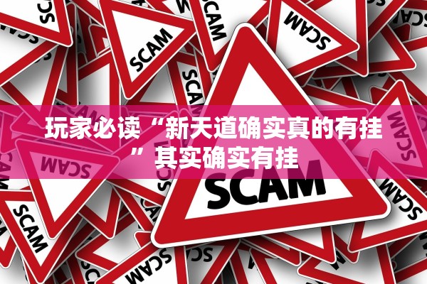 玩家必读“新天道确实真的有挂”其实确实有挂