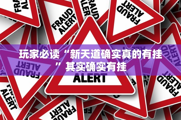 玩家必读“新天道确实真的有挂”其实确实有挂