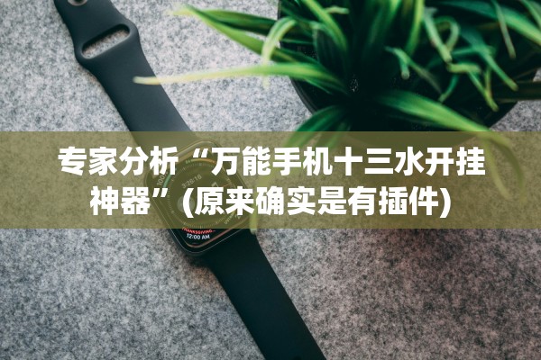 专家分析“万能手机十三水开挂神器”(原来确实是有插件)