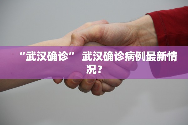“武汉确诊” 武汉确诊病例最新情况？