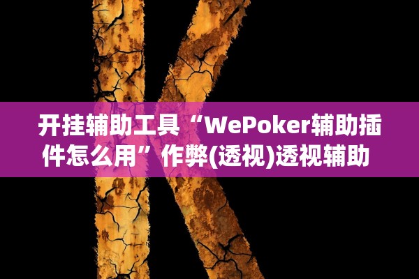 开挂辅助工具“WePoker辅助插件怎么用”作弊(透视)透视辅助 