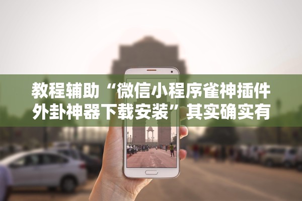 教程辅助“微信小程序雀神插件外卦神器下载安装	”其实确实有挂