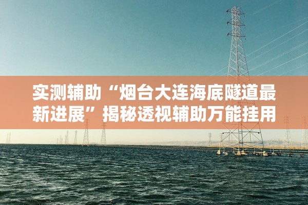 实测辅助“烟台大连海底隧道最新进展”揭秘透视辅助万能挂用法