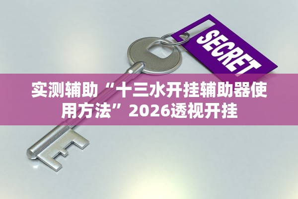 实测辅助“十三水开挂辅助器使用方法”2026透视开挂