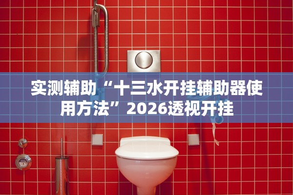 实测辅助“十三水开挂辅助器使用方法”2026透视开挂