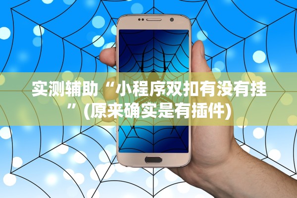 实测辅助“小程序双扣有没有挂	”(原来确实是有插件)