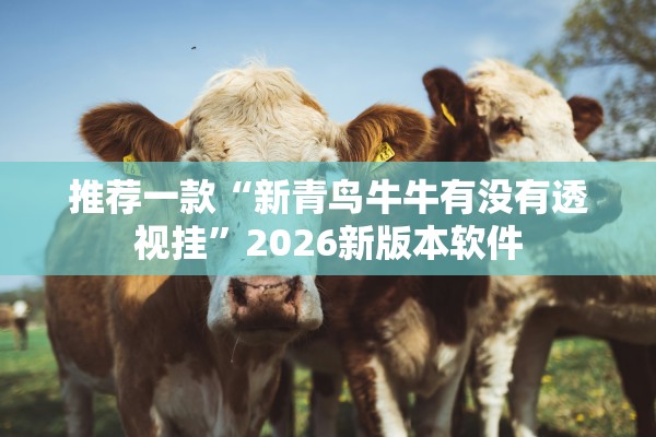 推荐一款“新青鸟牛牛有没有透视挂	”2026新版本软件